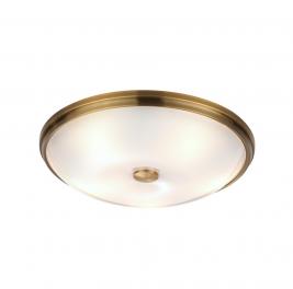 Настенно-потолочный светильник Odeon Light Pelow 4956/5