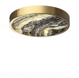 Настенно-потолочный светильник Odeon Light Bergi 5079/30L