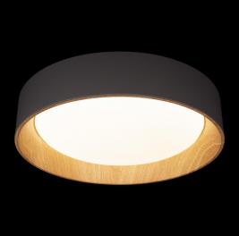 Потолочный светильник Loft IT Coin 10202 Grey