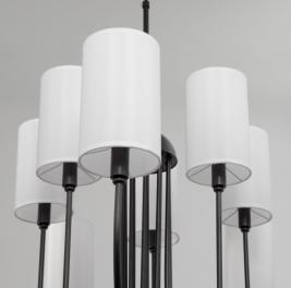 Люстра Eurosvet Abbey 60164/10 черный