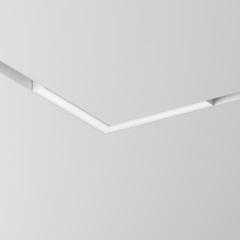Трековый светильник Maytoni Basis Gravity 4000K TR078-2-24W4K-W