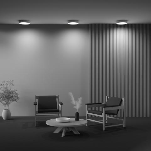 Потолочный светильник Maytoni Technical Ceiling 3000K Zon C032CL-36W3K-RD-MG
