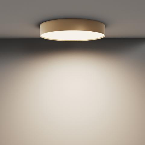 Потолочный светильник Maytoni Technical Ceiling 4000K Zon C032CL-45W4K-RD-MG