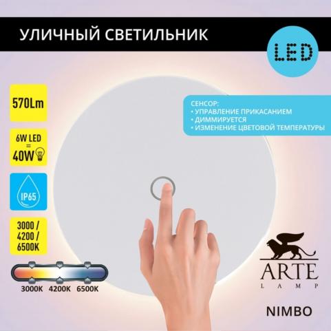 Настенный уличный светильник Arte Lamp Nimbo  A4506AL-1WH