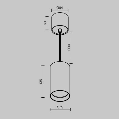Подвесной светильник Maytoni Technical Vol P100PL-20W4K-W