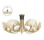 Люстра Odeon Light Ventaglio 4870/7