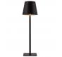 Настольный светильник Favourite Pyari беспроводной 4615-1T