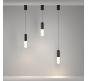 Подвесной светильник Maytoni Technical Mist P101PL-L300-12W3K-B