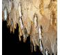 Подвесной светильник Modelux   ML.6928.600 GD