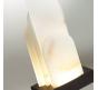 Настольный светильник Odeon Light Foros 5438/12TL